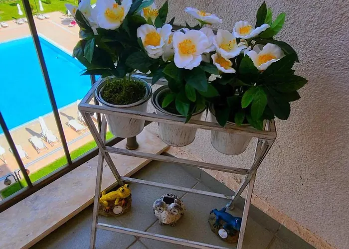 Sunrise Aparthotel *